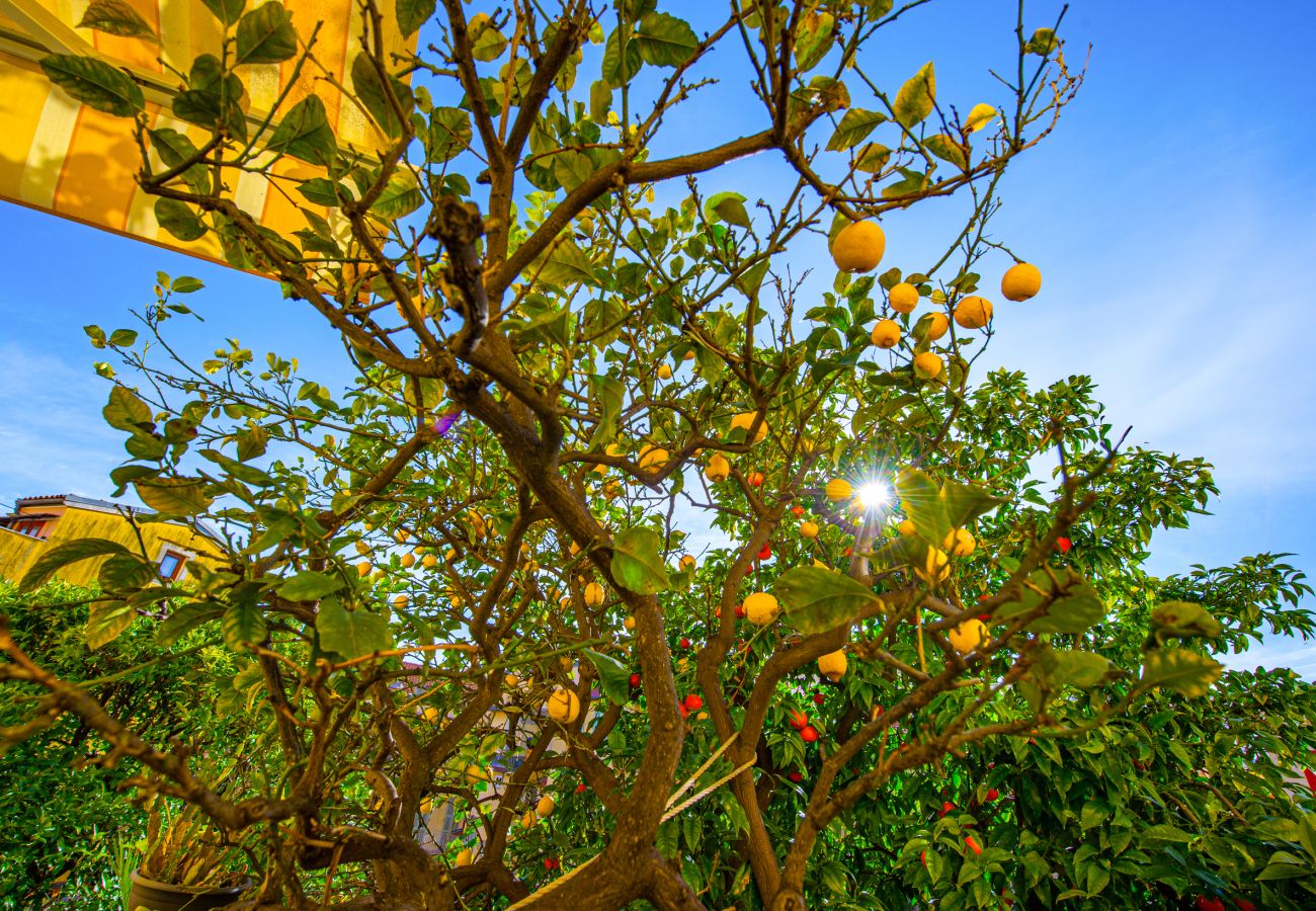 Appartement à Menton - 90 - Bréa 2